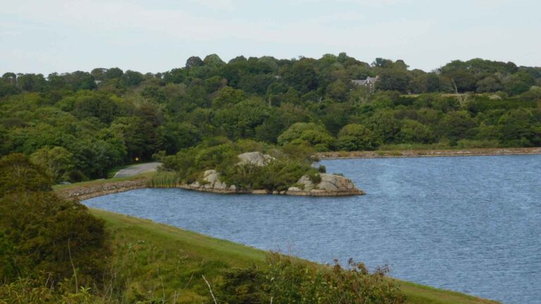 Green land with bushy trees next to the ocean