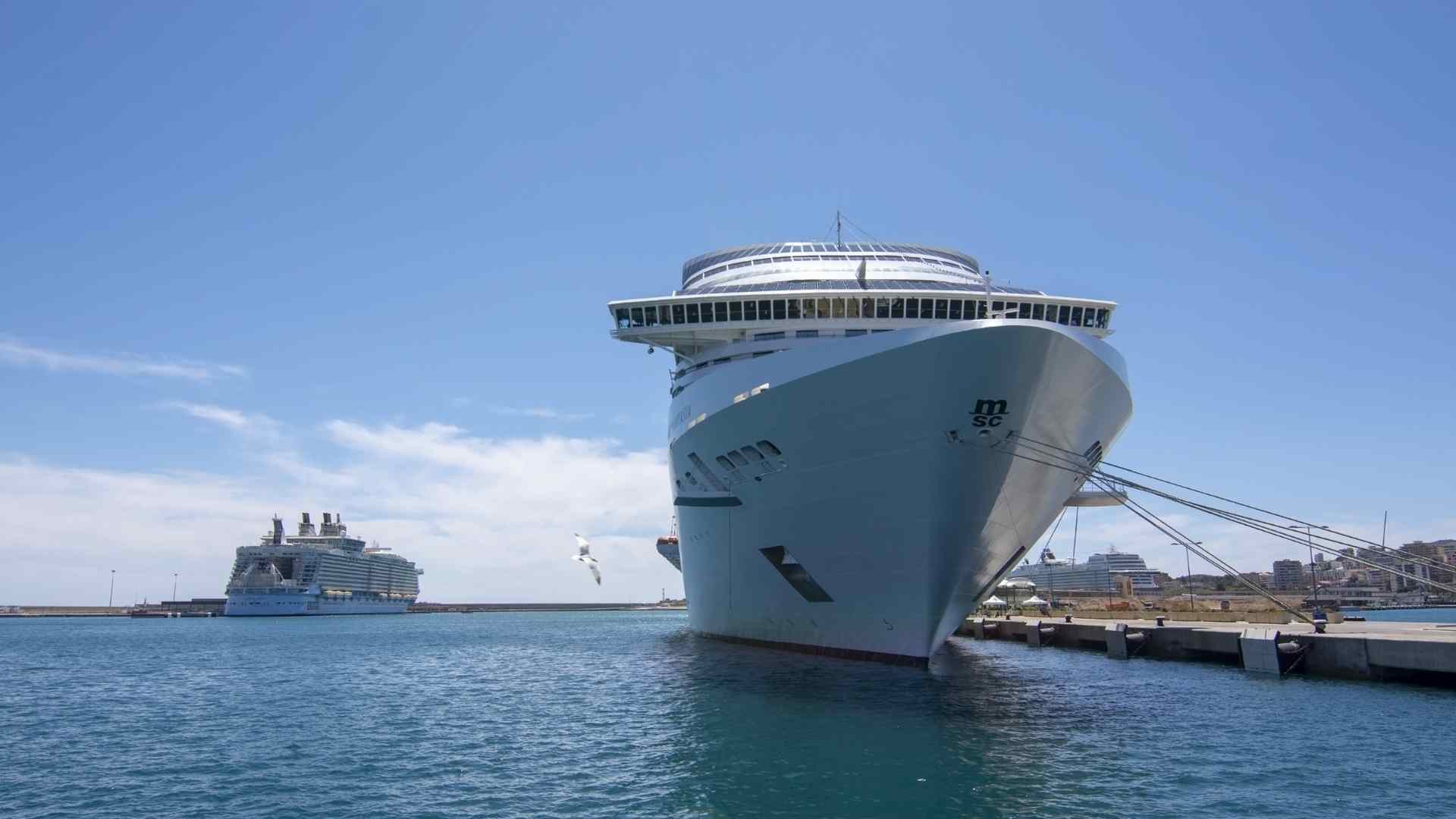 MSC cruise ship docked at Ocean Cay Marine Reserve