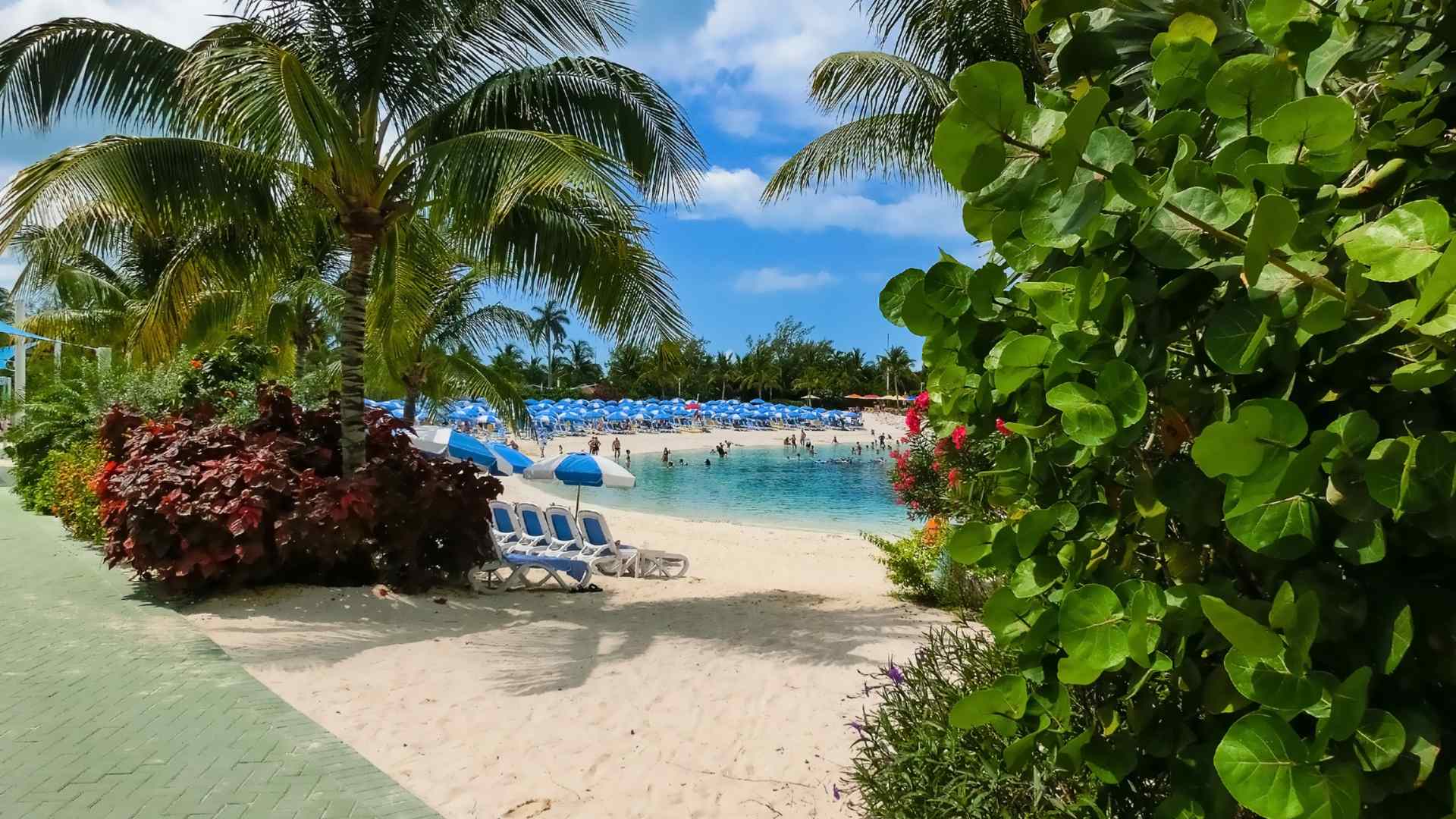 Tropical path leading to clear water at CocoCay