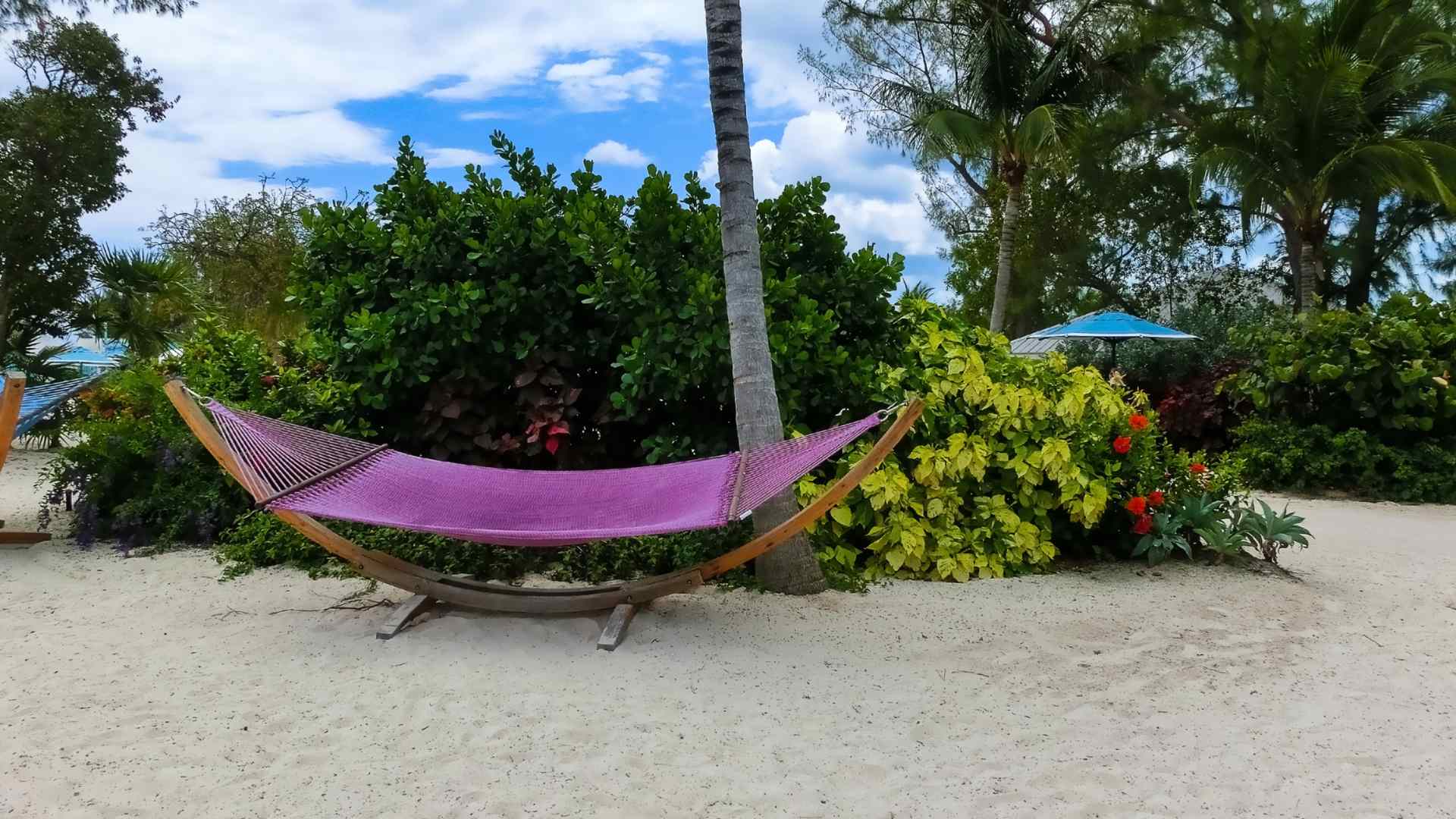 Hammock hanging among tropical gardens at CocoCay