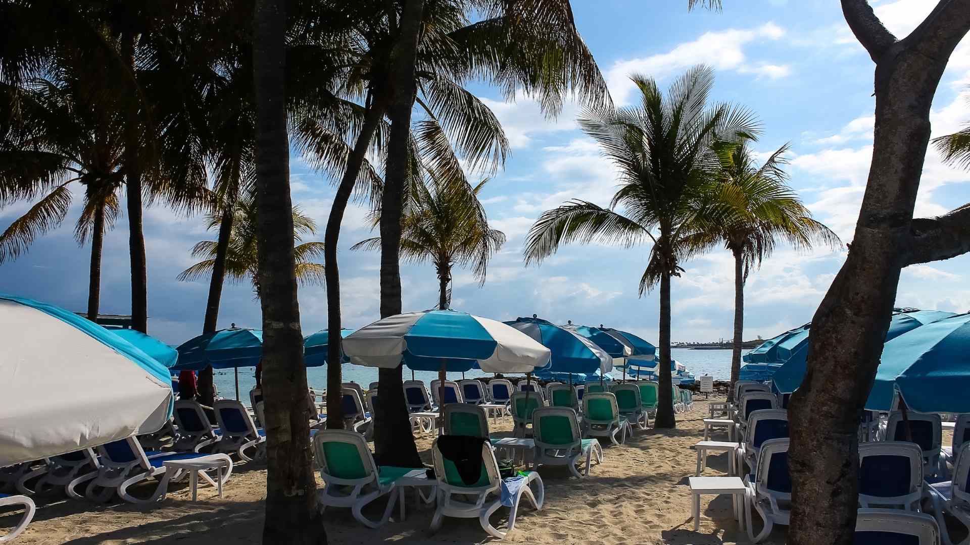 Beach chairs beneath palms at Perfect Day at CocoCay