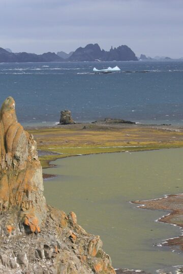 Rocky Aitcho Islands landscape with moss-covered ground, icy water, and jagged Antarctic peaks