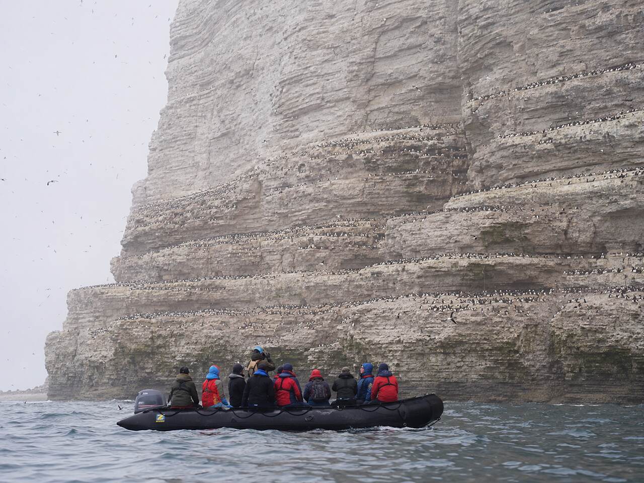 Expedition Zodiac cruising beneath thick-billed murre nesting cliffs at Akpatok Island