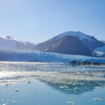 Amalia Glacier flowing into a calm Patagonian fjord in Bernardo O’Higgins National Park, Chile