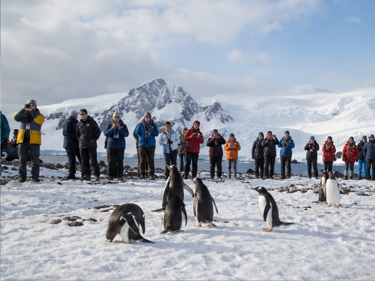 Expedition passengers observing penguins from a respectful distance during an Antarctica landing