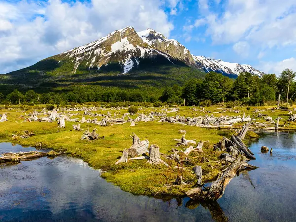 Wetlands and mountains in Tierra del Fuego National Park