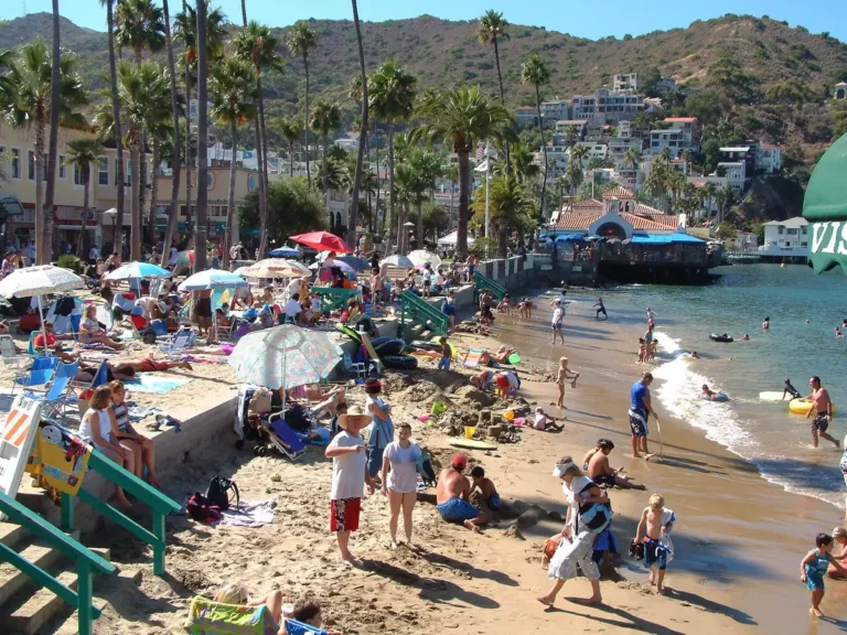 Avalon Catalina Island Cruise Port, California: Tenders, Town and Tours