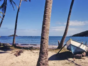 Featured image for Bequia Cruise Port: Admiralty Bay Tenders, Beaches and Island Life