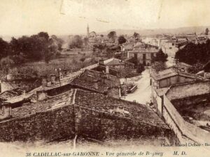 Featured image for Cadillac-sur-Garonne River Cruise Port: Château and Sauternes Guide