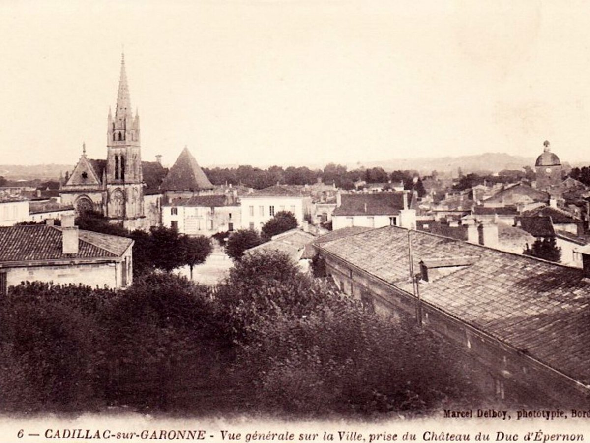 Cadillac-sur-Garonne - vue générale 2 in Cadillac-sur-Garonne, France