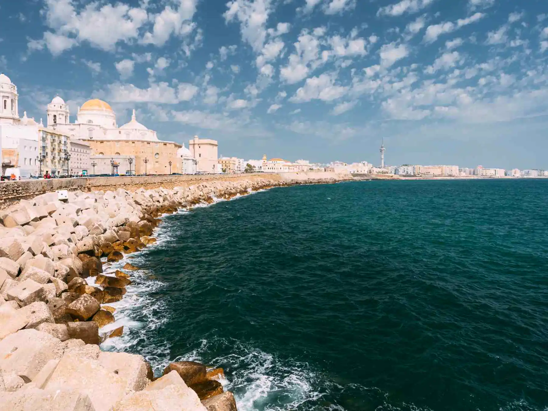 Cádiz Cathedral dome framed by palm trees.