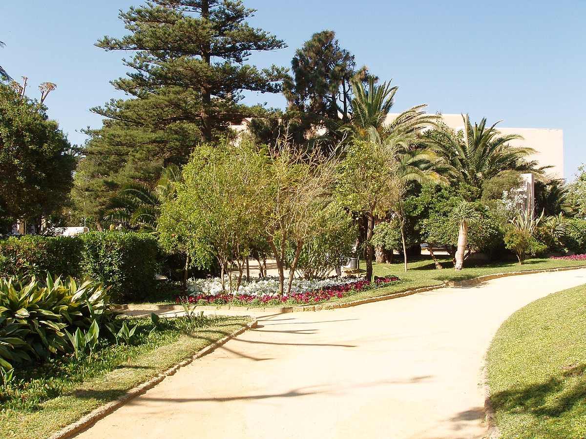 Landscaped paths, palms, and trees in Parque Genovés, Cádiz, Spain