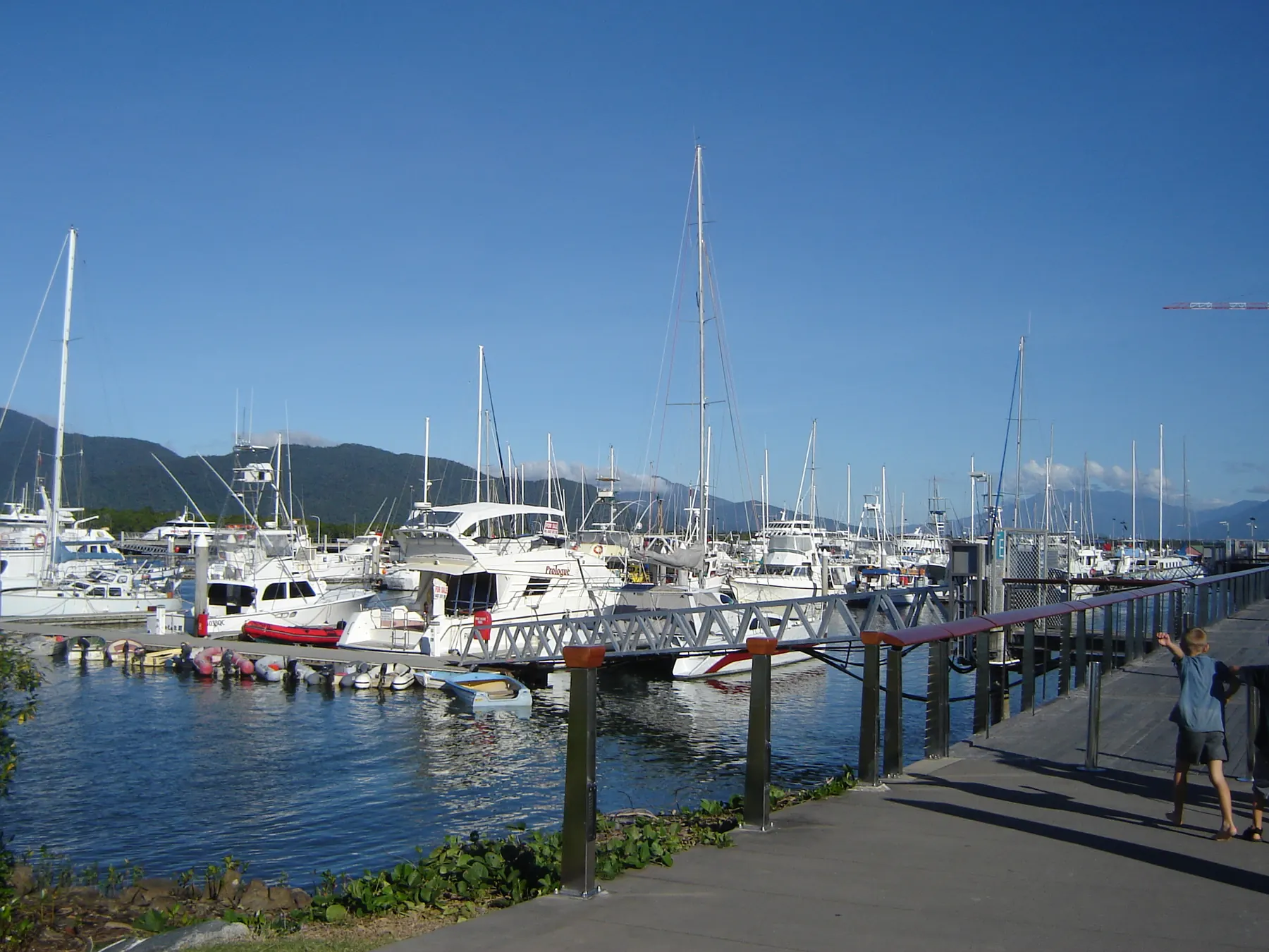 Boats moored in Cairns Marina with waterfront buildings and tropical hills behind them.