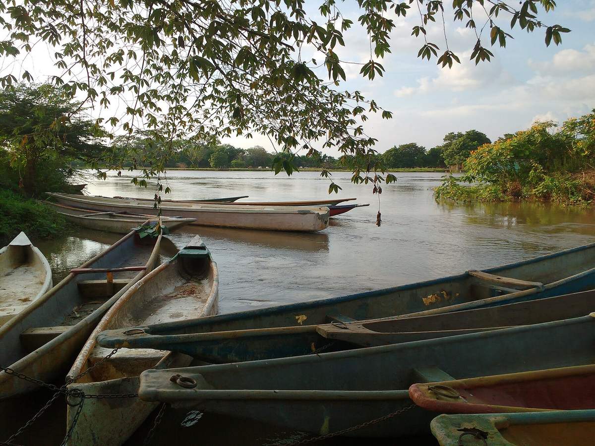 Local canoes moored along the Canal del Dique in Bolívar, Colombia