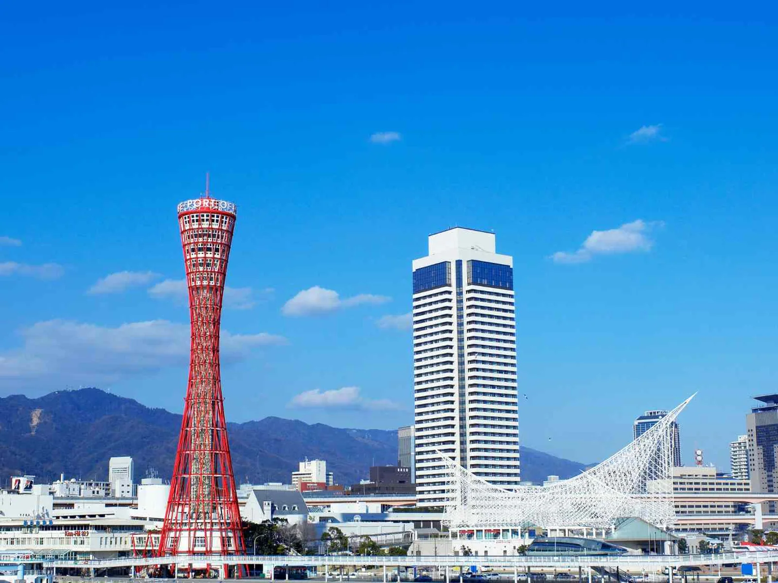 Kobe Port Tower and waterfront skyline