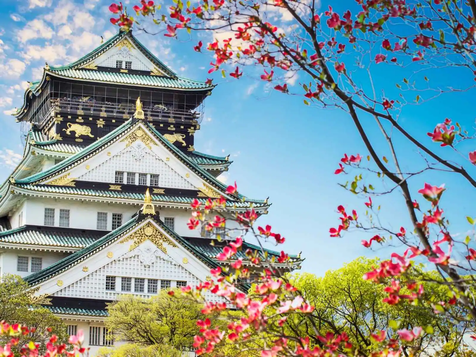 Osaka Castle framed by spring blossoms