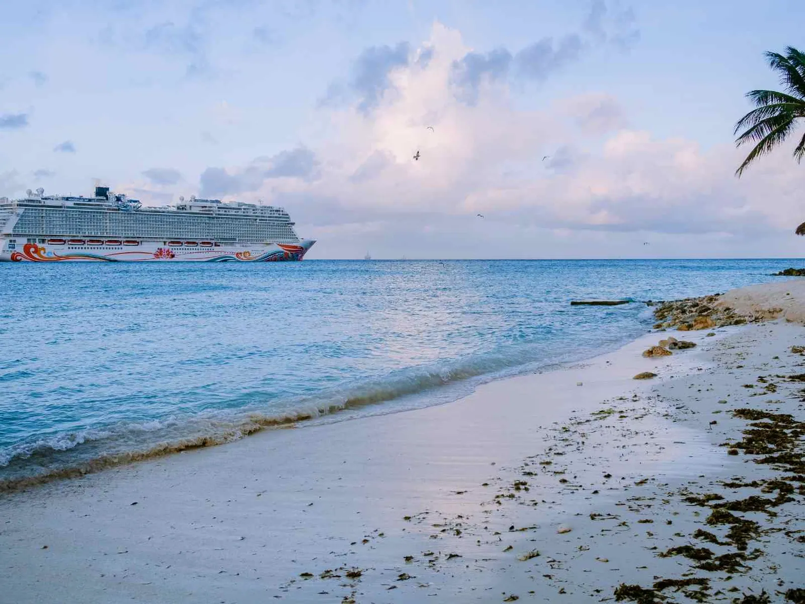 Cruise ship offshore from a palm-lined Aruba beach