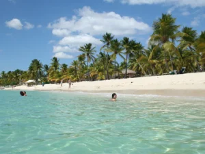 Featured image for Catalina Island Cruise Port Guide, Dominican Republic: Tender & Beach Day