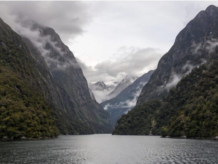 Steep forested mountains and low clouds along a narrow Chilean fjord channel