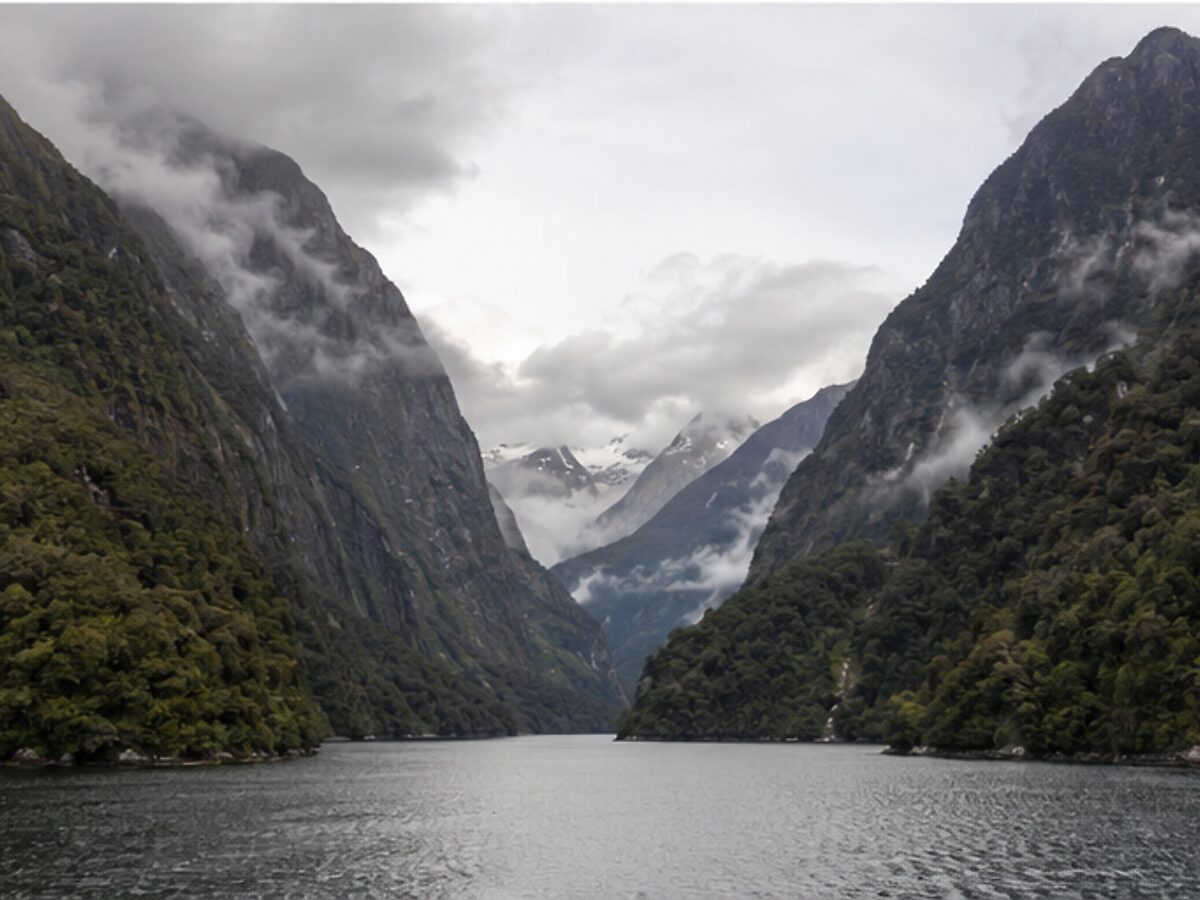 Steep forested mountains and low clouds along a narrow Chilean fjord channel