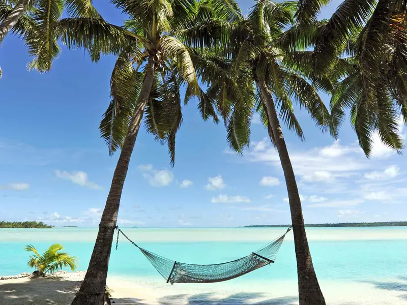 Palm-fringed lagoon shore in Rarotonga, Cook Islands