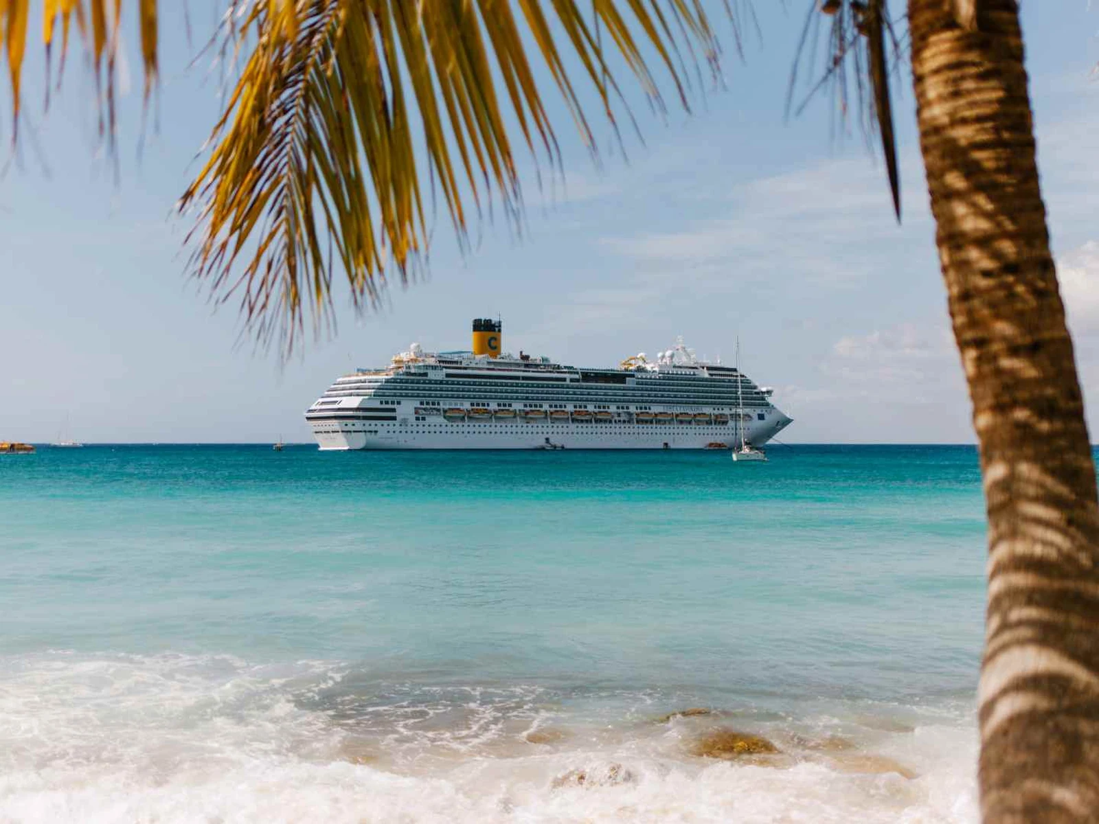 Cruise ship anchored off a palm-lined Mexican beach
