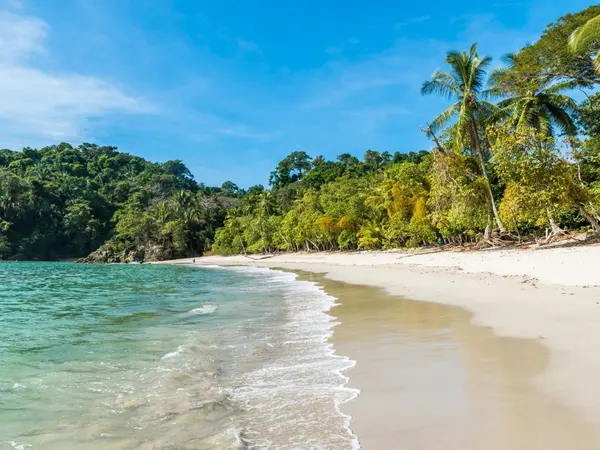 Beach and rainforest at Manuel Antonio