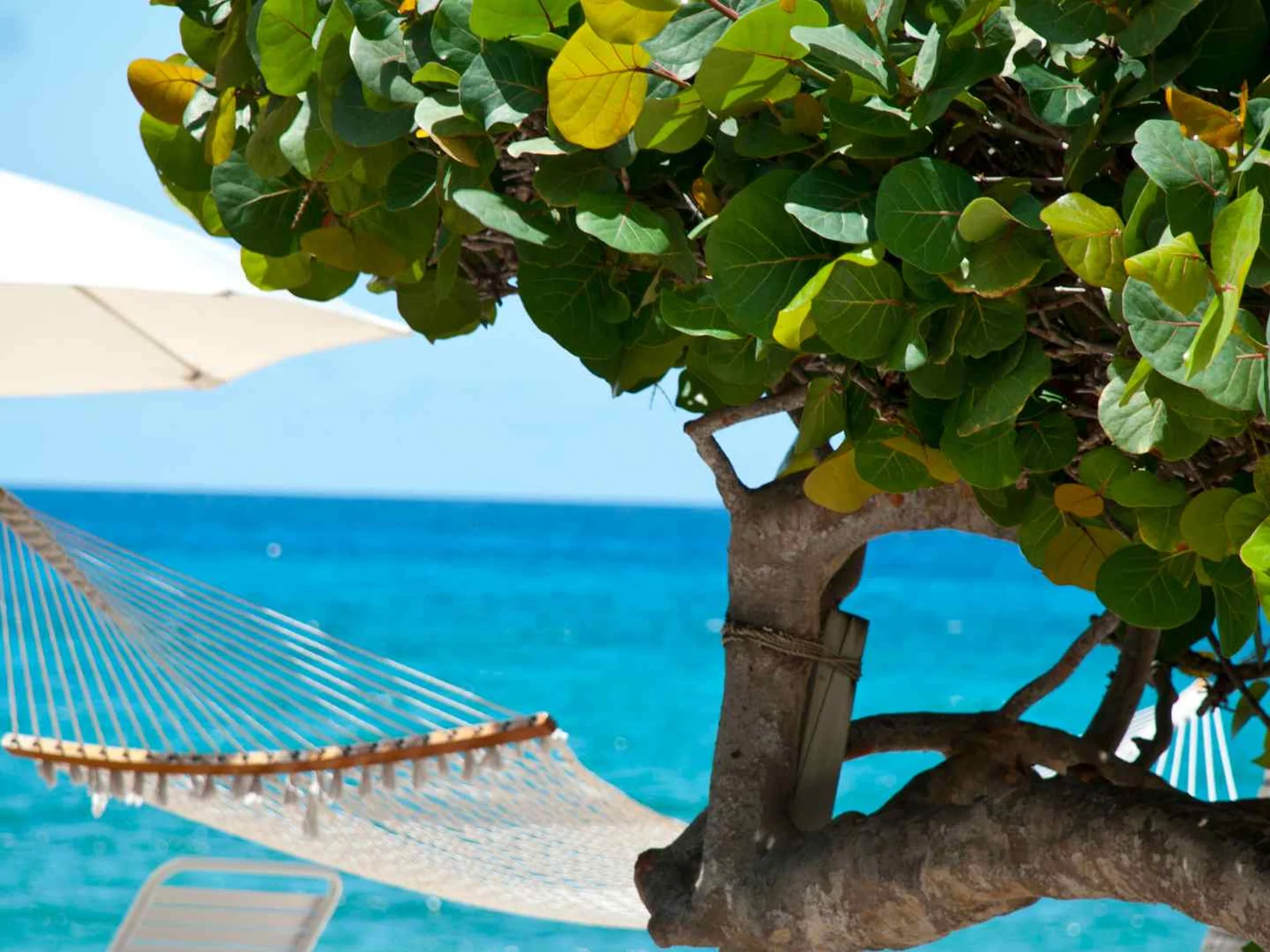 Hammock hanging beneath sea grape trees on a Grand Cayman beach