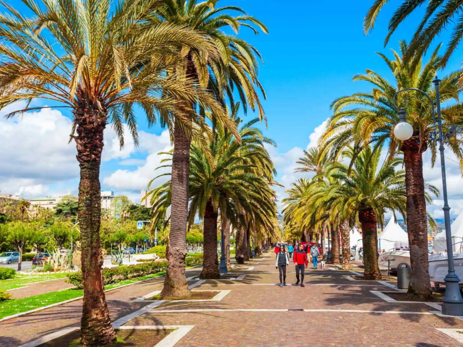 Palm-lined promenade along the La Spezia waterfront