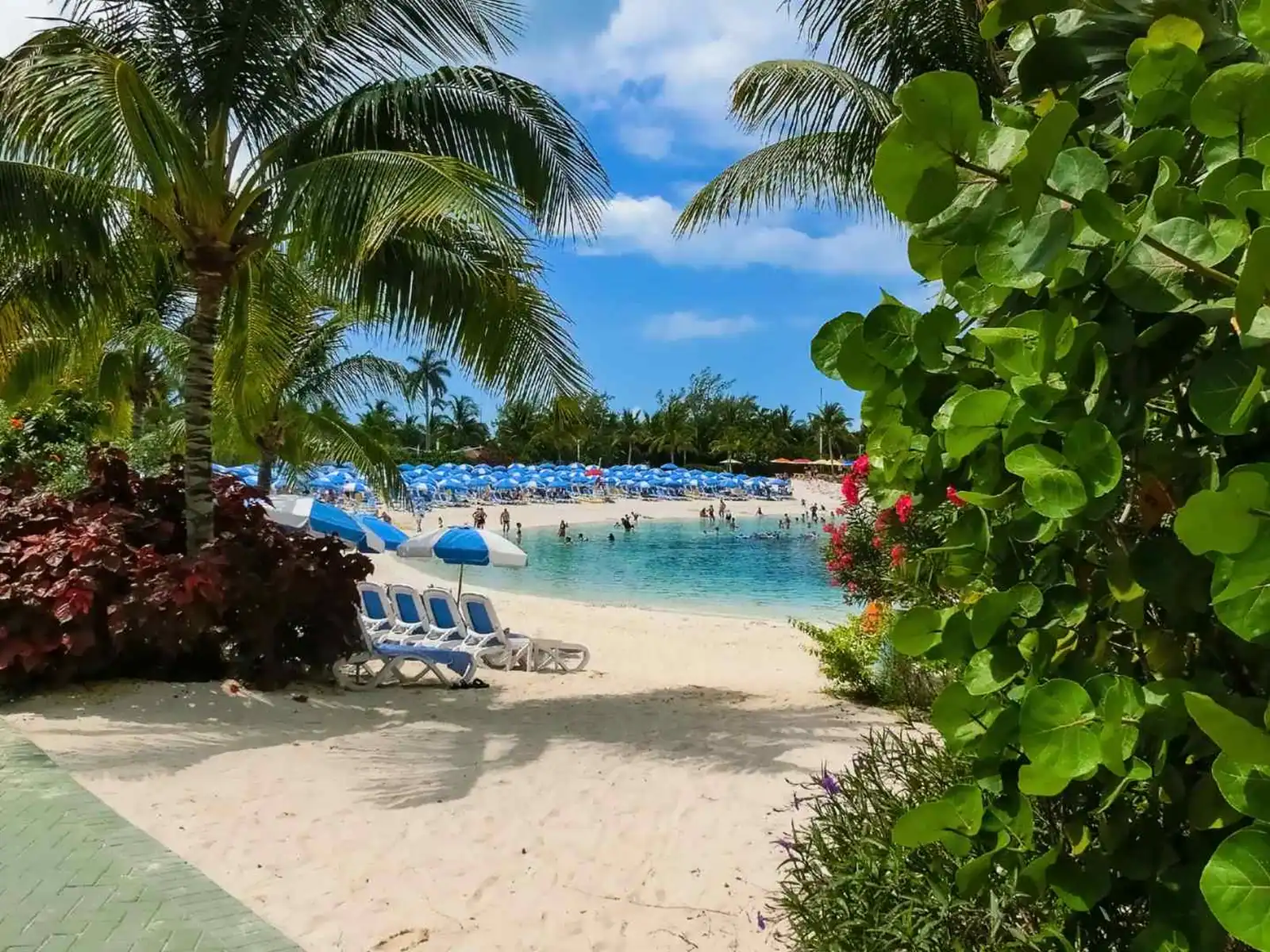 Tropical path leading to clear water at CocoCay