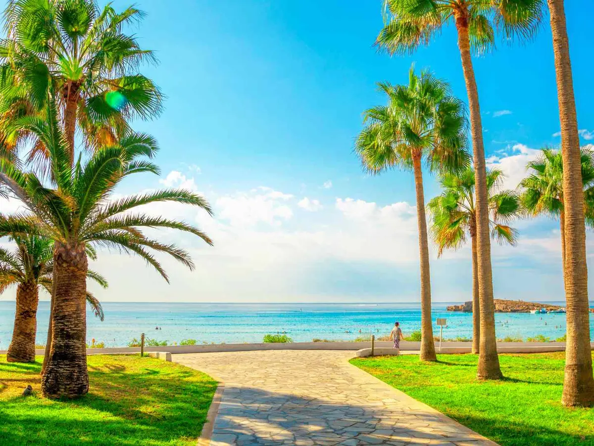 Palm-lined waterfront promenade in Ayia Napa, Cyprus
