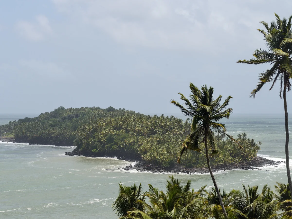 Palm-covered Devil’s Island seen across the water from Île Royale