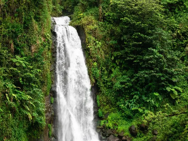 Trafalgar Falls in Dominica
