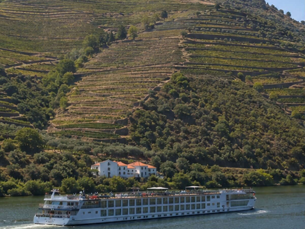 Terraced vineyards above the upper Douro River in Portugal