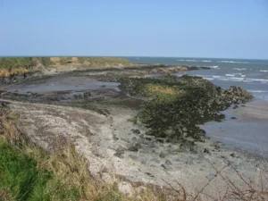Featured image for Dublin Cruise Port: Transfers, City Walks & Timing