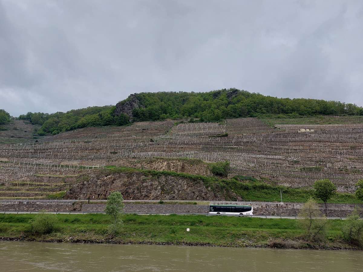 Stone vineyard terraces on the hills beside Dürnstein and the Danube