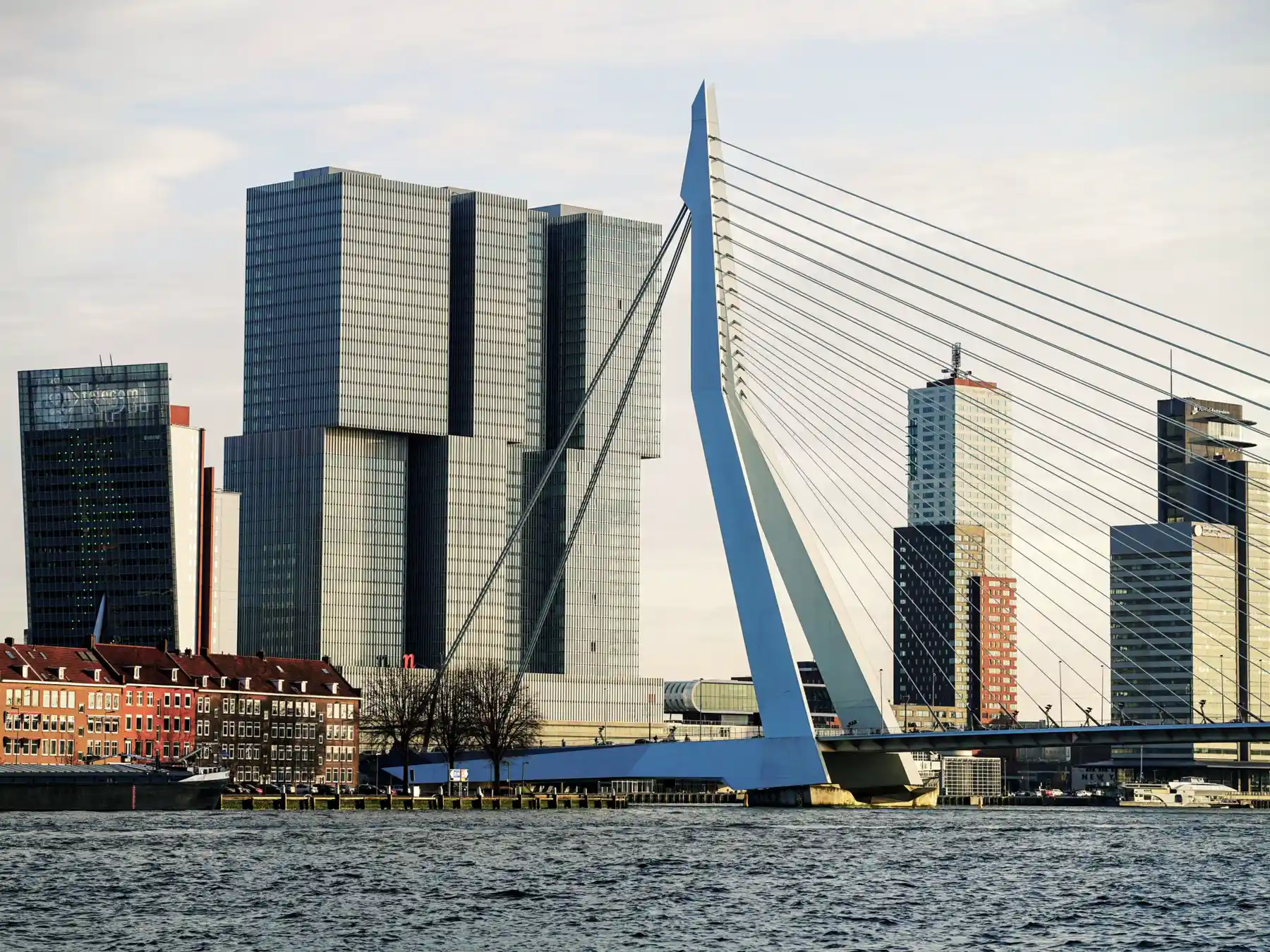 Rotterdam's Erasmus Bridge rising above the Nieuwe Maas and modern waterfront buildings.