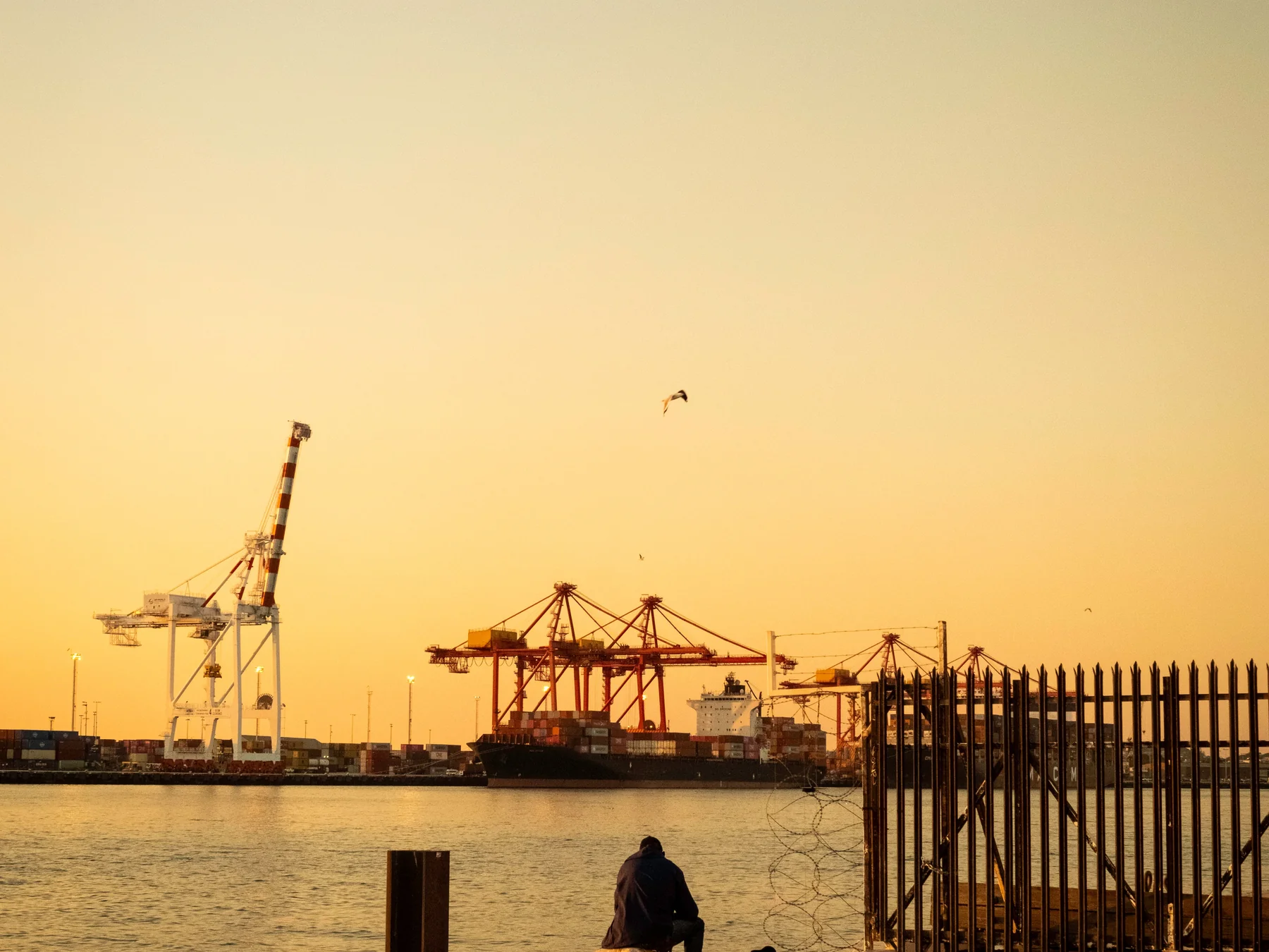 A fisherman silhouetted beside Fremantle Harbor during a vivid evening sunset.