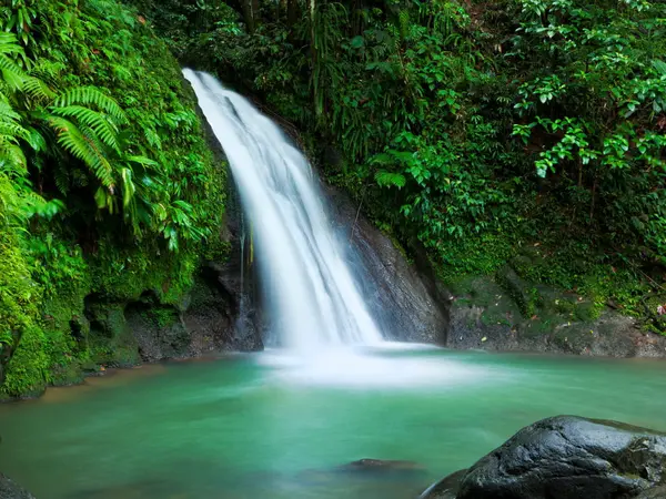 Waterfall in Guadeloupe National Park