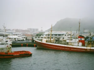 Featured image for Heimaey Cruise Port: Tenders, Volcanoes and Puffin Shores