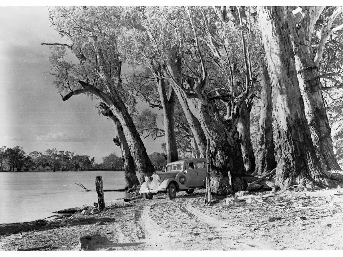 Historic car and river gums beside the Murray River at Swan Reach
