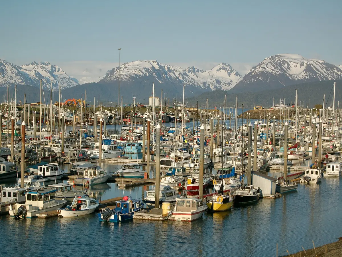 View of Homer cruise port and waterfront