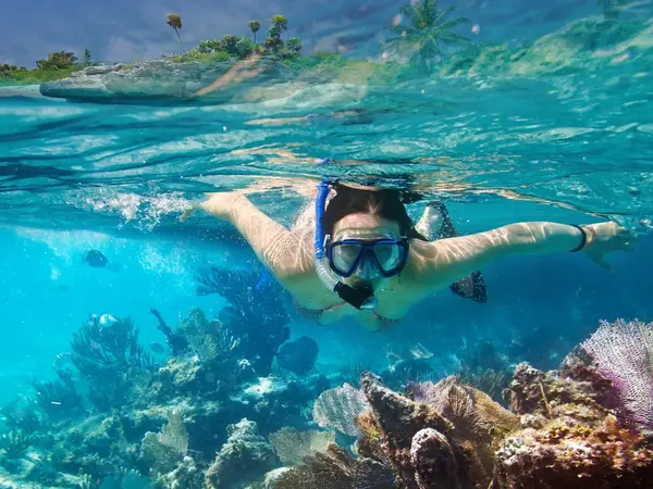 Snorkeler exploring the coral reef off Roatán, Honduras