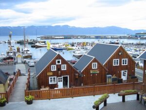 Featured image for Husavik Cruise Port: Whales, Berths and Tenders