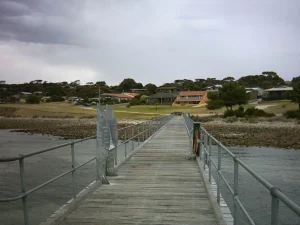 Featured image for Kangaroo Island Cruise Port Guide: Penneshaw, Wildlife & Timing