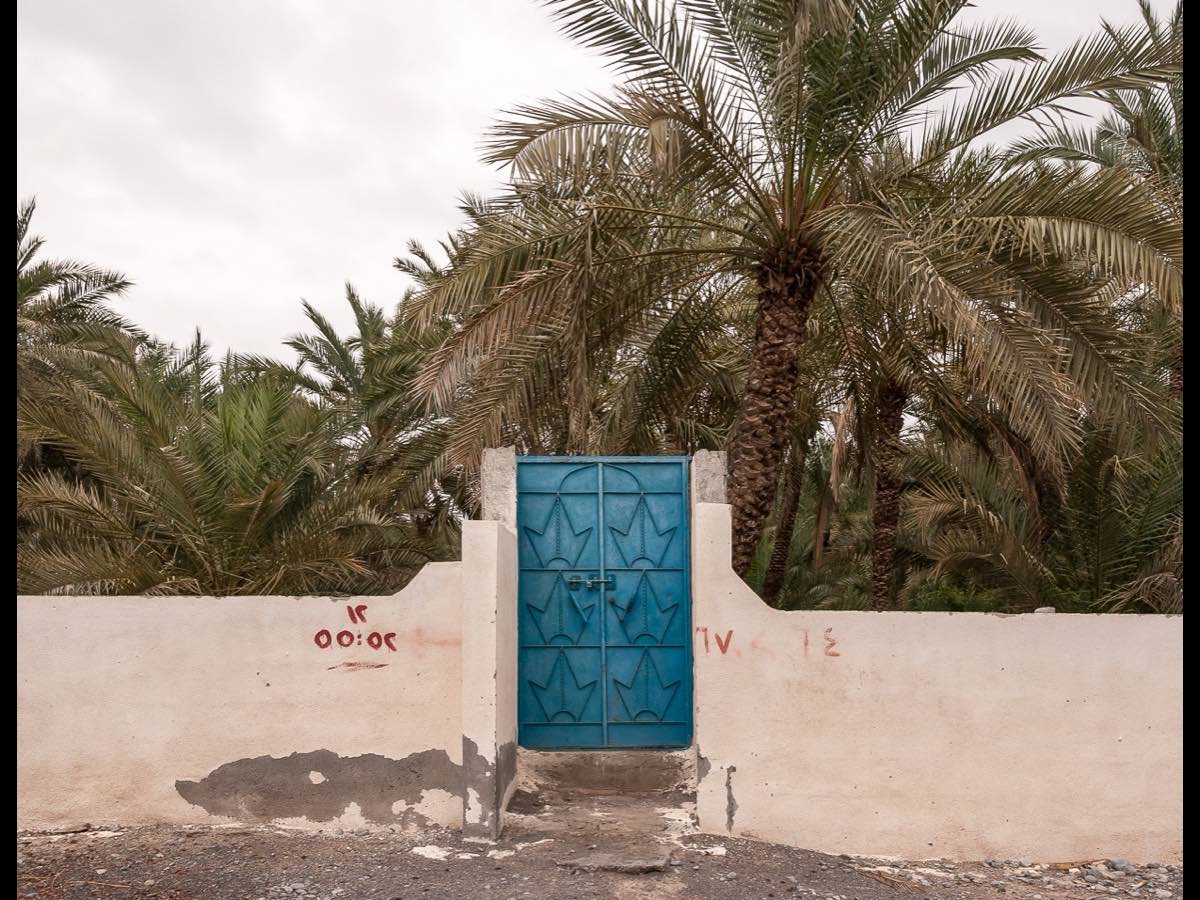 Blue gate in front of a date palm plantation in Khasab, Oman