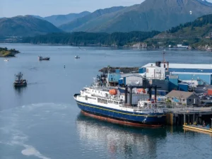 Featured image for Kodiak Cruise Port: Bears, Museums & Pier II