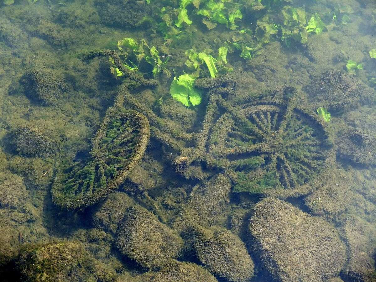 Bicycle in the Meuse River Maastricht in Maastricht, Netherlands
