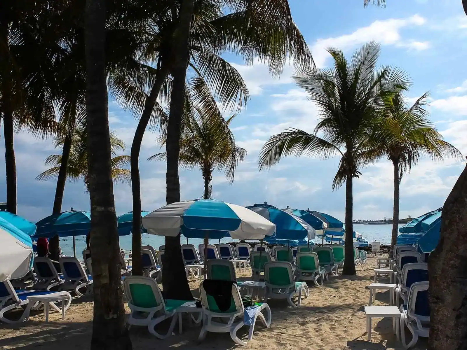 Beach chairs beneath palms at Perfect Day at CocoCay