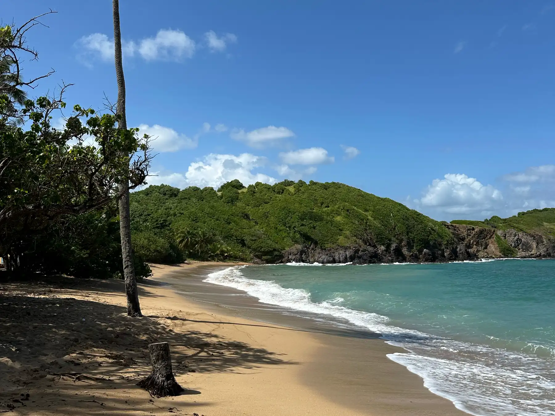 Clear Caribbean water and a tropical beach in Martinique